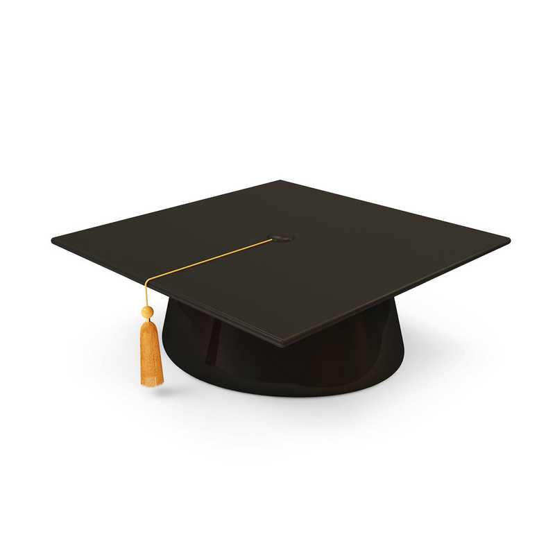 Top 20 Graduation Cap Ideas
