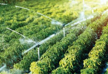 Irrigation services software's advantages