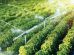 Irrigation services software's advantages