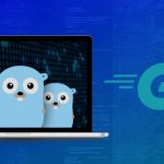 Everything You Need to Know About Golang Web Development