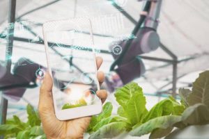 How Is AI Revolutionizing Agriculture