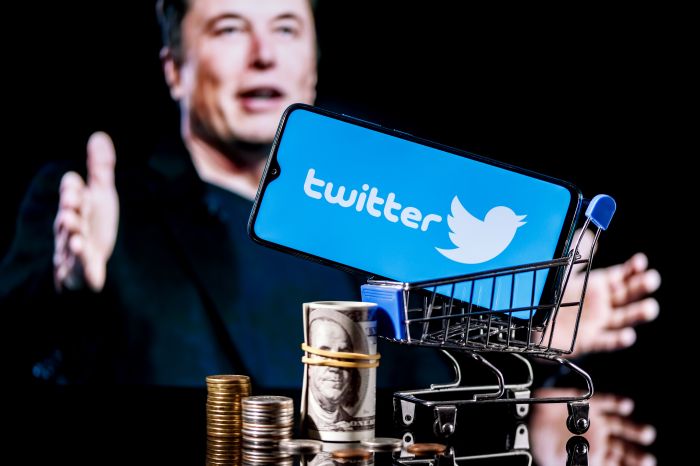 The Impact of Elon Musk's Ownership of Twitter