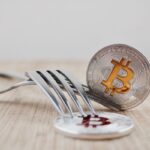 Need to know more about Cryptocurrency Forks