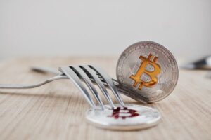 Need to know more about Cryptocurrency Forks